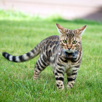 DSC_7389.jpg